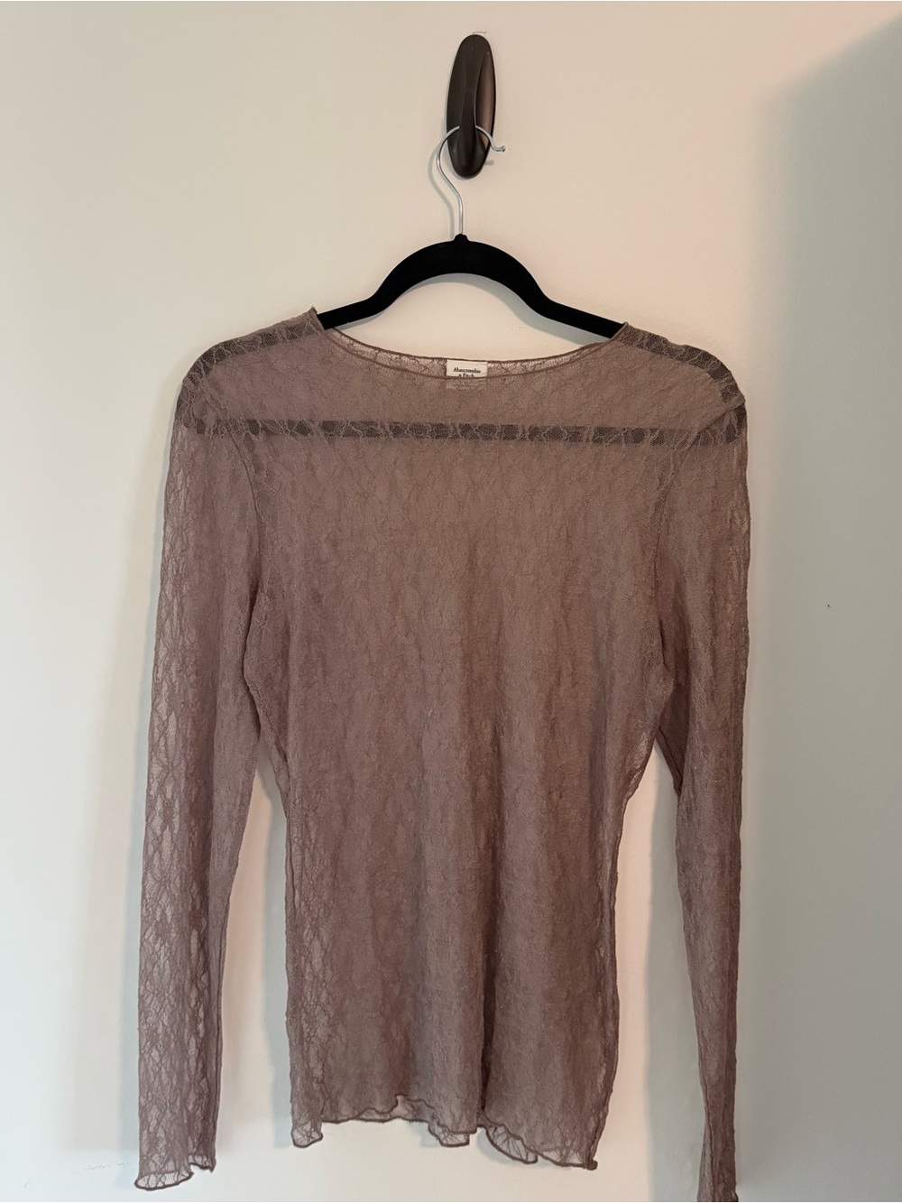 Abercrombie & Fitch Sheer Lace Long-Sleeve Top